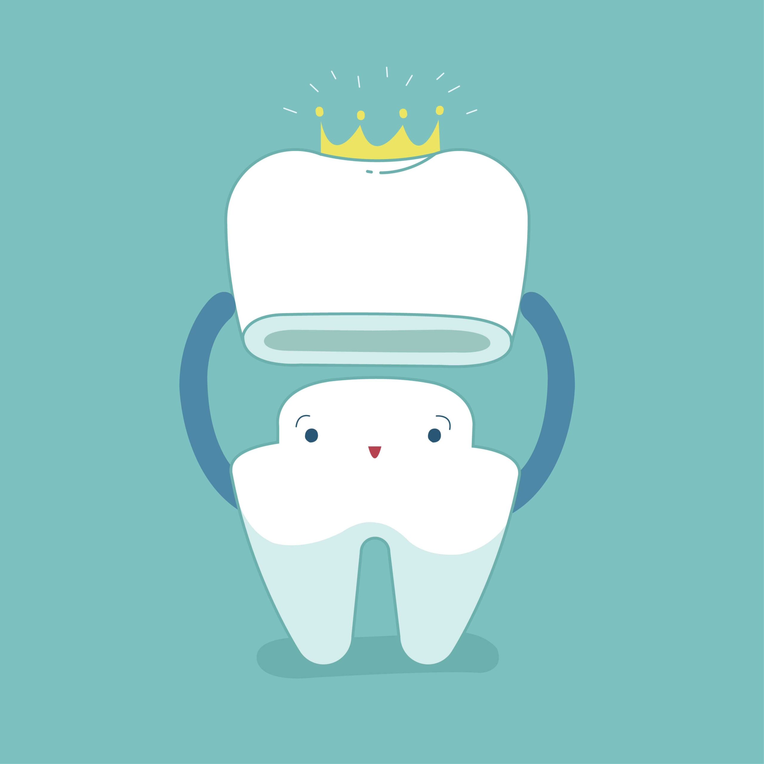 Tooth holding a crown.